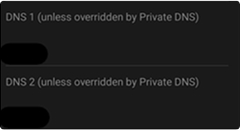 Two fields in the Android settings. One is labeled “DNS 1 (unless overridden by Private DNS)” and the other says “DNS 2 (unless overridden by Private DNS)”