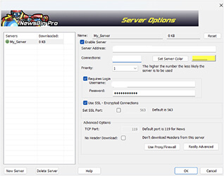 The Newsbin Pro Server Options screen. There are buttons to add or delete a server as well as fields for naming servers, inputting the address and connections, saving the username and password, and setting up SSL among other options.
